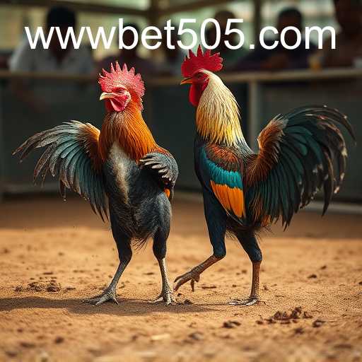 bet505 PH Login